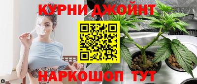 прущие грибы Ачхой-Мартан