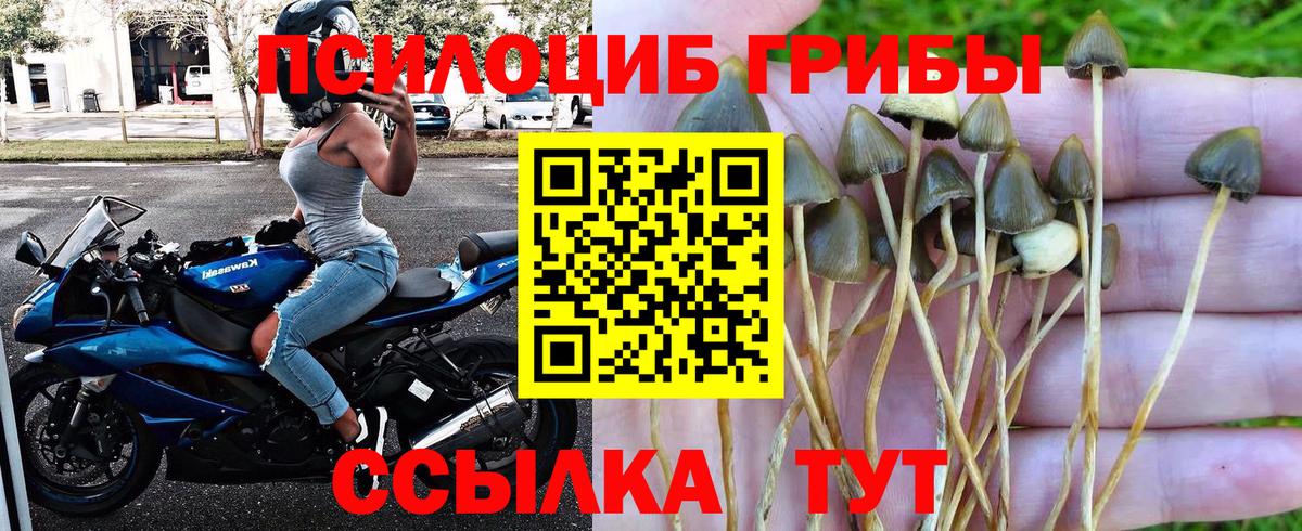 Галлюциногенные грибы прущие грибы  Вход с VPN  Галлюциногенные грибы мицелий  Вышний Волочёк 