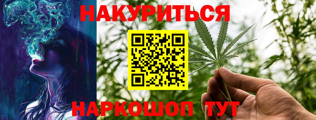 Конопля сатива Вышний Волочёк